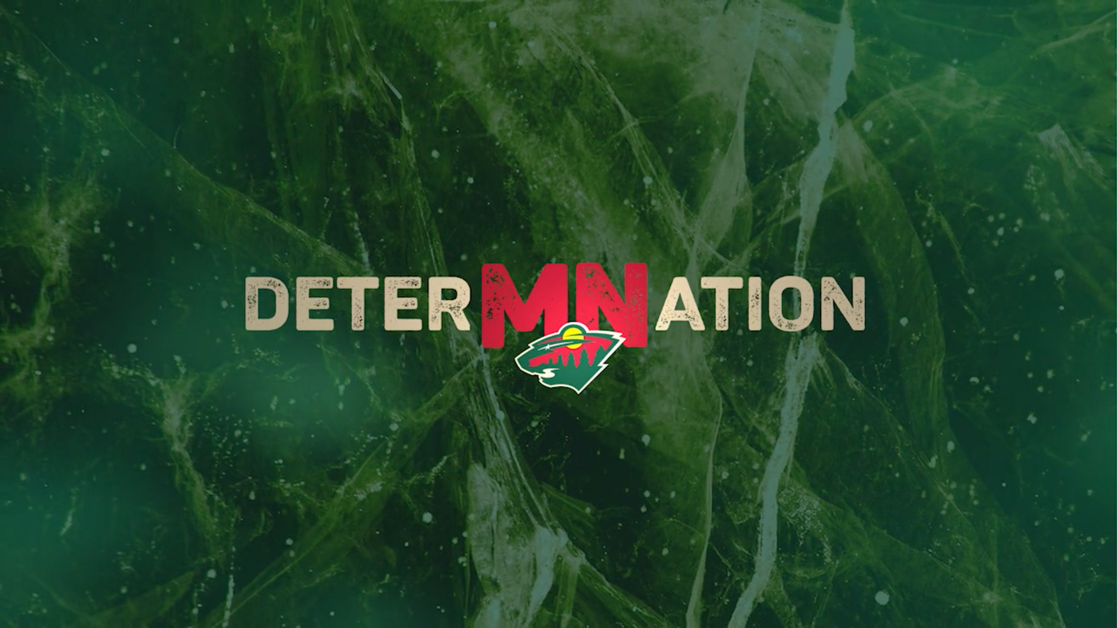 MN Wild